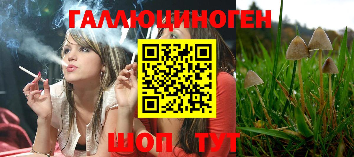 Псилоцибиновые грибы MAGIC MUSHROOMS Конаково