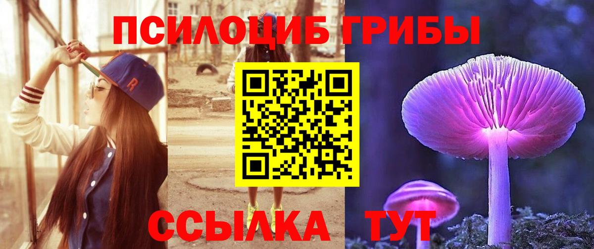 Псилоцибиновые грибы MAGIC MUSHROOMS  Вход с VPN  цены   Конаково 